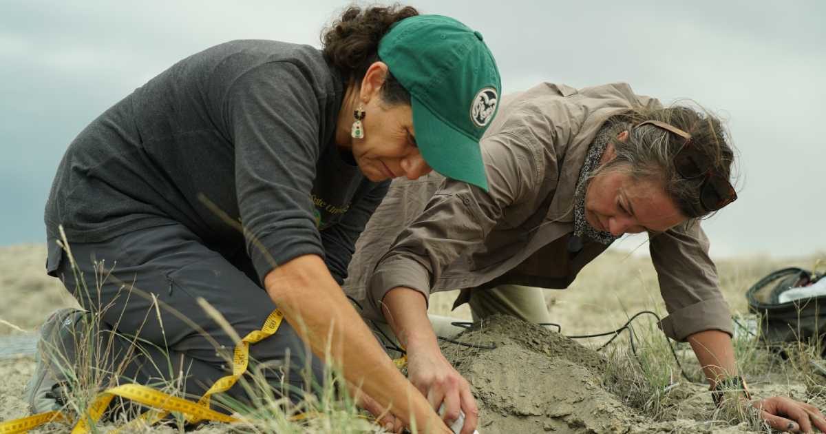 CSU Soil Scientists Tap Rangelands as Vast Sources for Carbon Storage