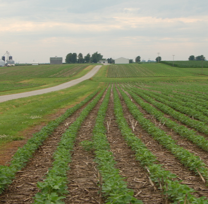 Ask an agronomist: benefits of a timely soybean and corn harvest