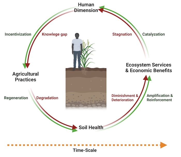 SoilHealth-Chart