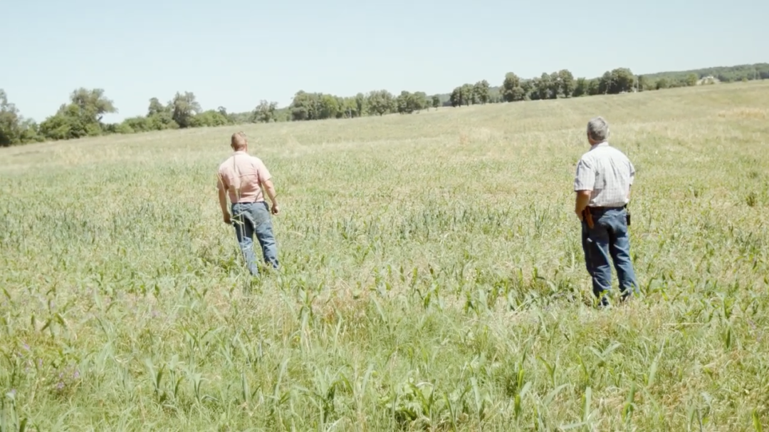 Playing “Small Ball” with No-Till & Cover Crops.png