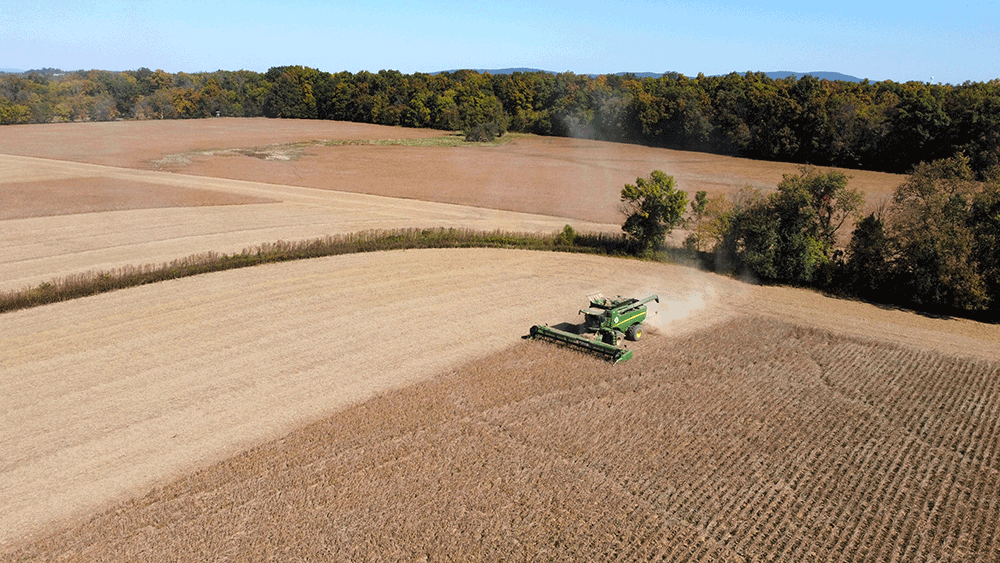 Cover-Crops-Maximize-Yield-for-Pennsylvania-No-Tiller.png