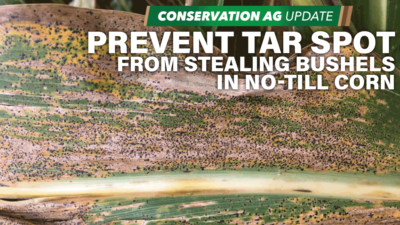 Prevent Tar Spot from Stealing Bushels in No-Till Corn