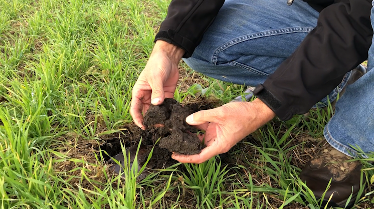 The ‘Holy Grail’ of Soil Health.png