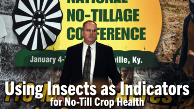 Using Insects as Indicators for No Till Crop Health