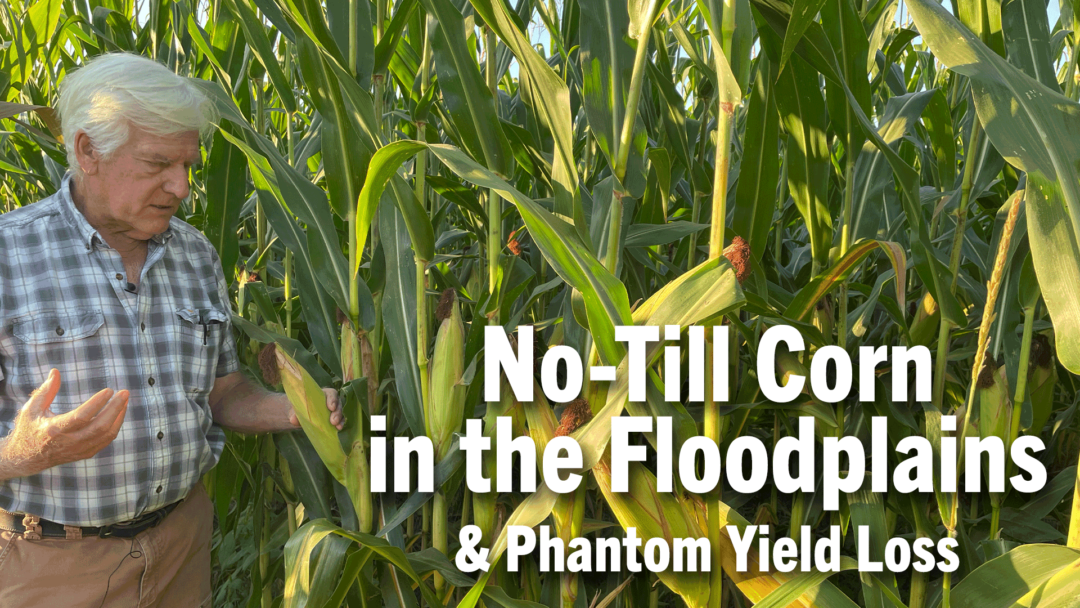 No-Till-Corn-in-the-Floodplains-&-Phantom-Yield-Loss.png