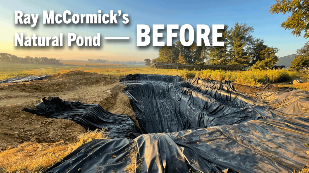 Ray-McCormick’s-Natural-Pond-—-BEFORE.png