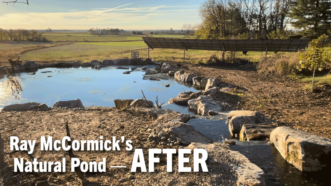 Ray-McCormick’s-Natural-Pond-—-AFTER.png