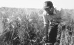 Guy-checking-plants.jpg