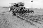 Weighing-Strip-Till.jpg