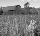 Barn-and-field.jpg