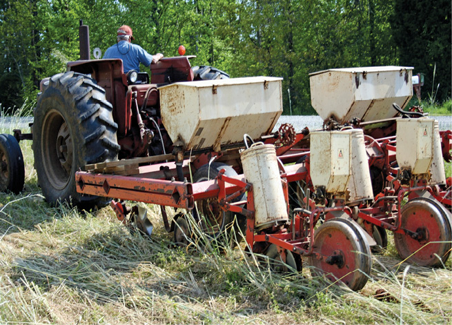 Cover Crops Smother Weeds, Slash Input Costs, Bring Soils To Life ...