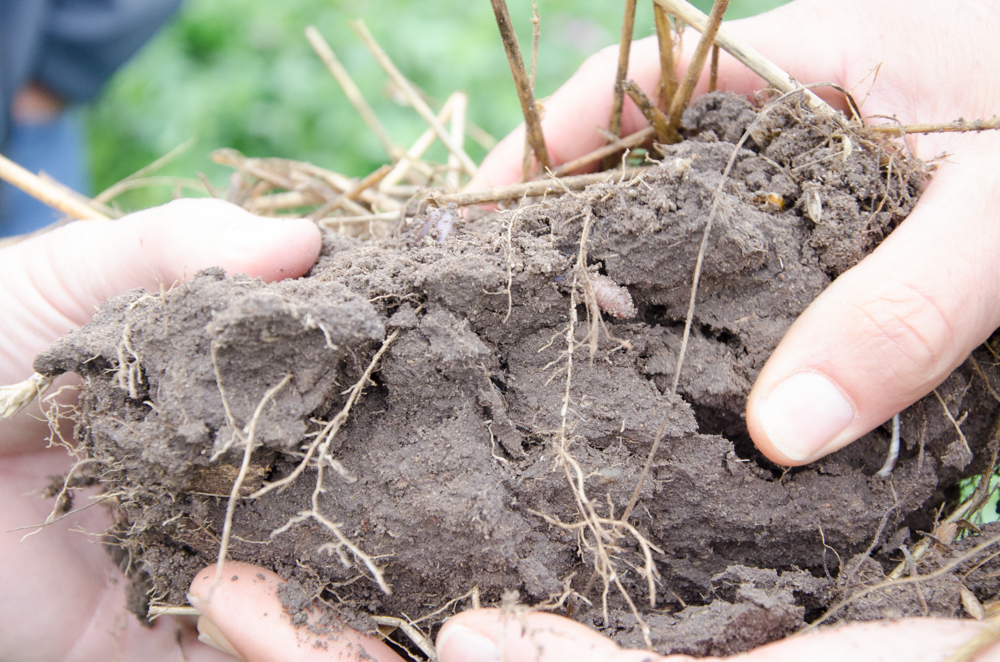 soil-organic-matter-and-its-benefits-cropwatch-university-of