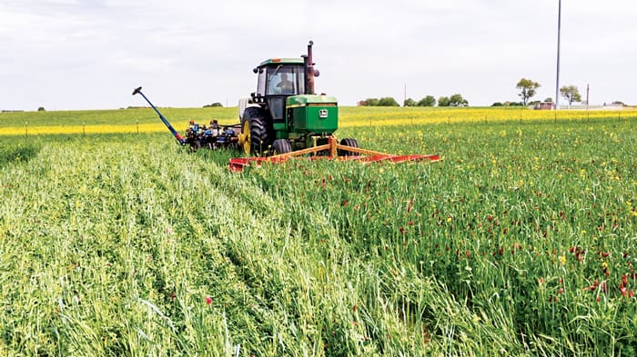 Tips For Managing Cover Crop Mixes For More No-Till Benefits