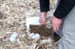 Spring soil health testing