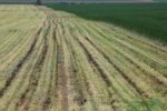 Injecting manure into field