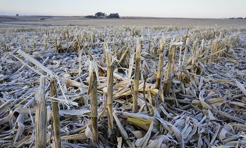 crop-residue-affects-soil-life-between-growing-seasons