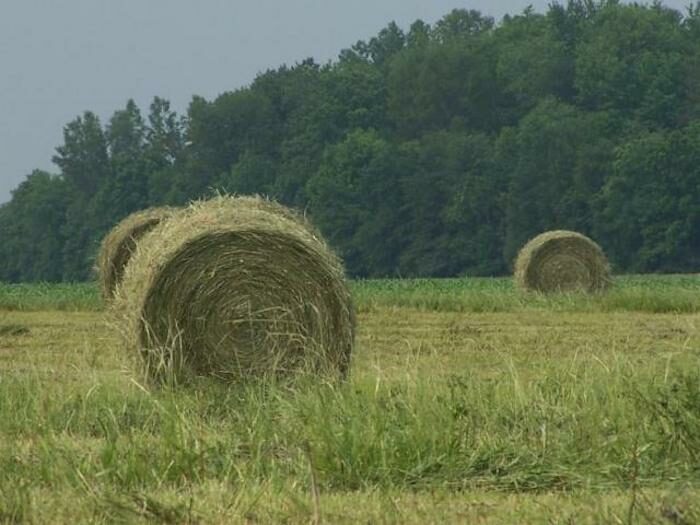 hay bale