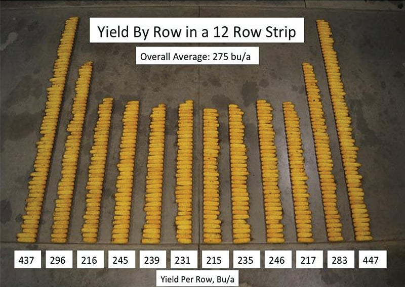 Opening Up Opportunities No Tilling 60 Inch Corn