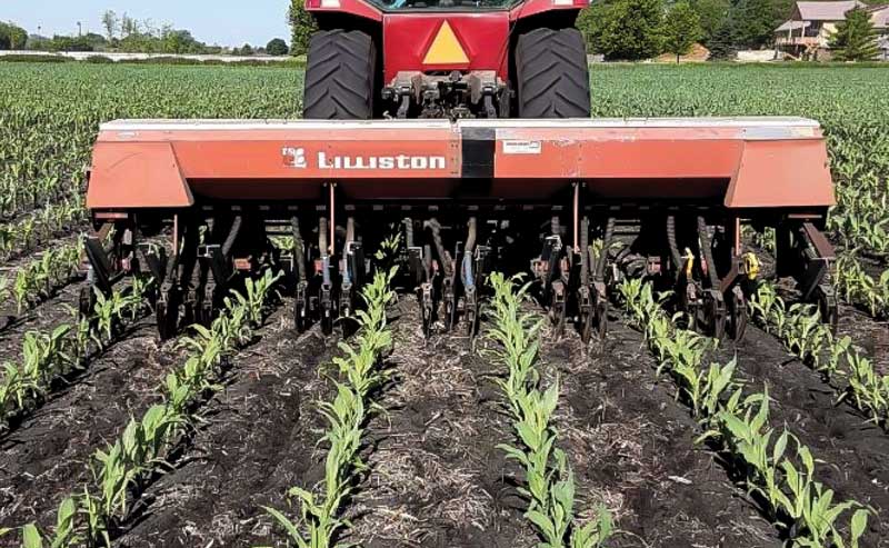 Saving Soils with a Diverse Rotation Covers Manure