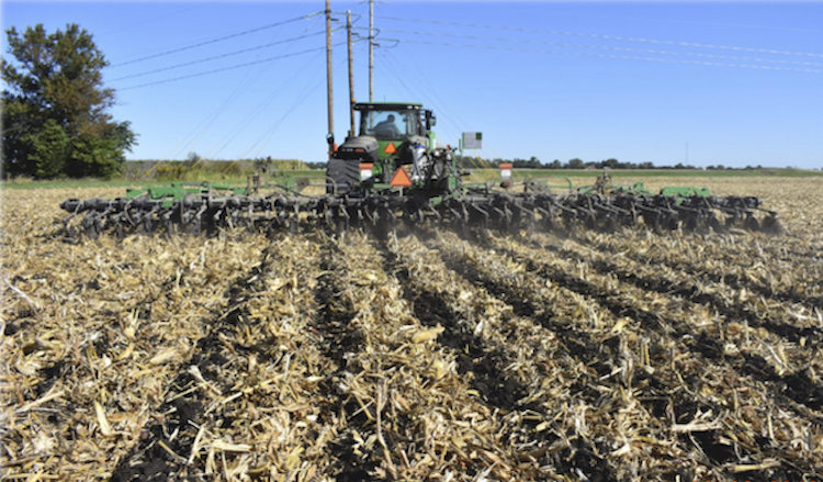 NoTill, Cover Crops Improve Soil Health for Increased