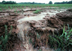 surface-runoff.jpg