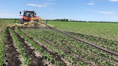 Dragging manure hose over corn.png