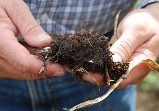 Can Soil Organic Carbon Reduce Drought and Flooding?