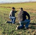 Randy and David kneel in the field