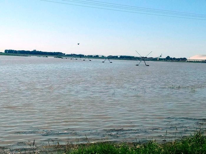 Crops Impact Flooding.jpg