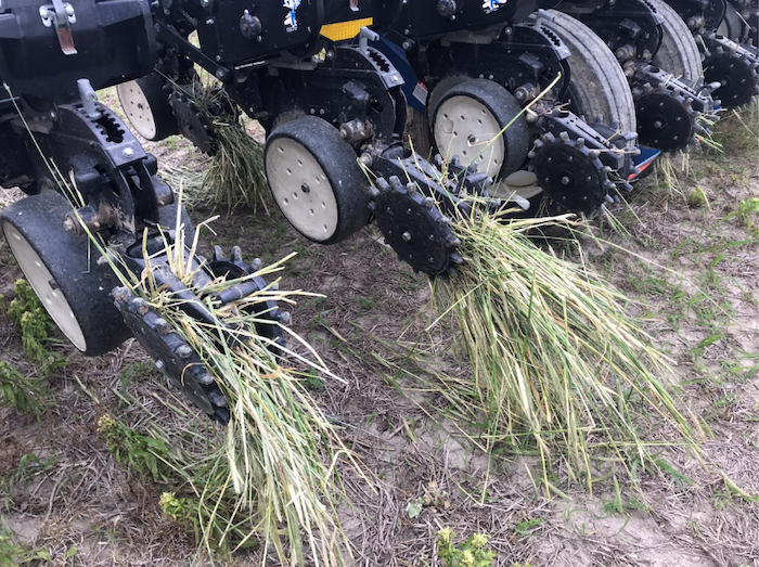 Joe Hamilton Cover Crop Wrapped in No-Till Planter.png