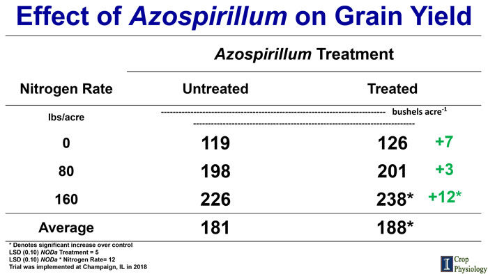 Effect-of-Azospirillum-on-Grain-Yield-700.jpg