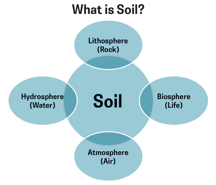 What-is-Soil_Jay-Fuhrer-Soil-Health_CTG_0824.jpg