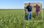 Bacon-Heights-Farms---Cover-Crops.jpg