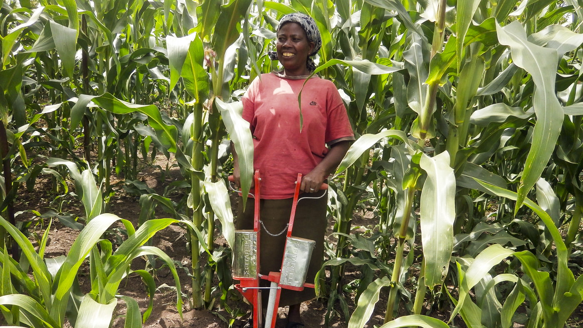 No Till Provides Potential For 300 Yield Increases For Kenyan Farmers