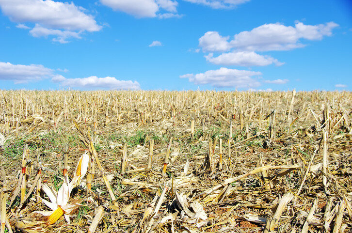 webinar-managing-soil-biology-for-faster-crop-residue-decay